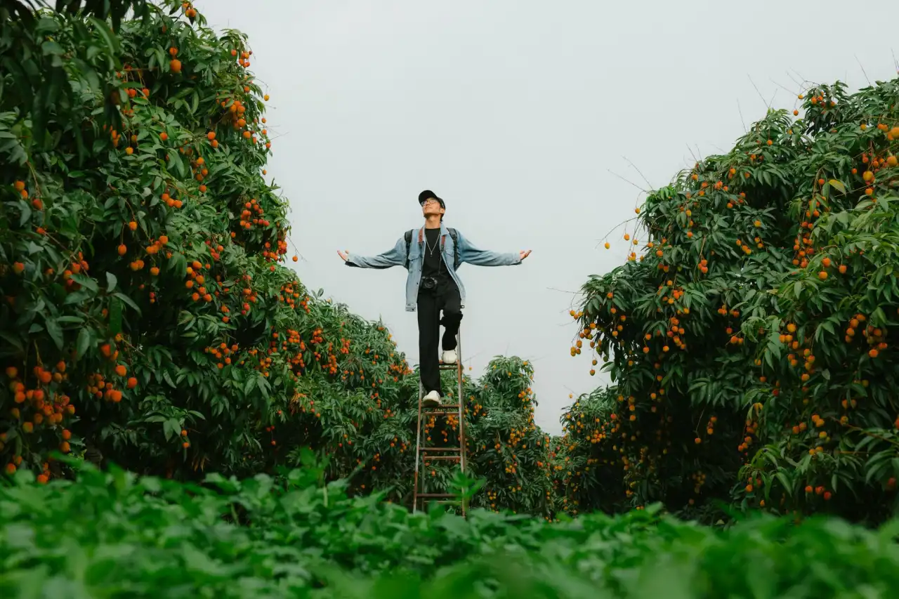 湖北教育多媒体设备采购指南：教学一体机选型要点与成本分析